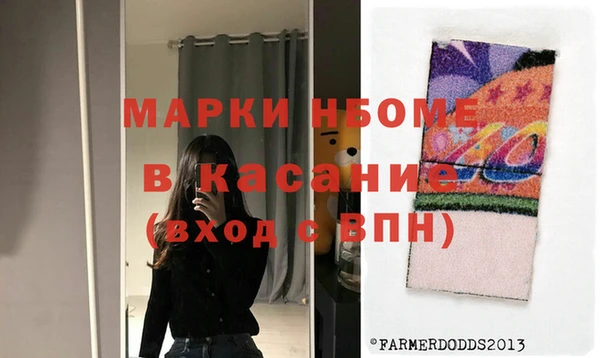 крисы Богородицк