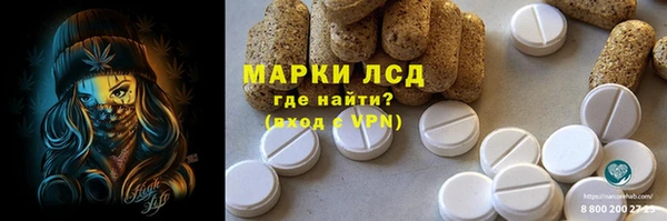 крисы Богородицк