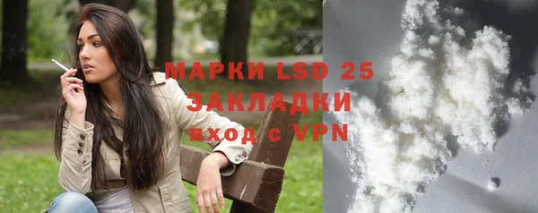 крисы Богородицк
