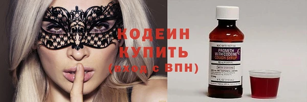 крисы Богородицк
