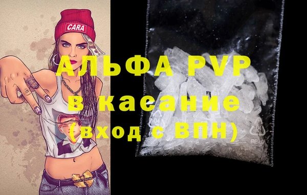 крисы Богородицк