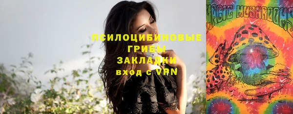 крисы Богородицк
